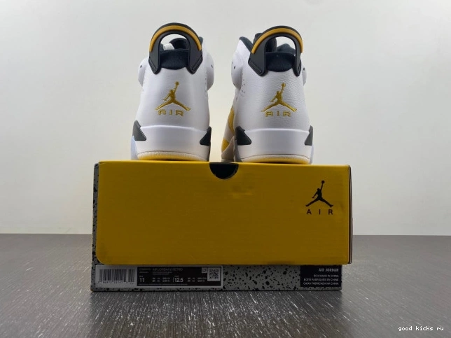 Jordan Air Yellow 6 CT8529-170 Ochre 0705